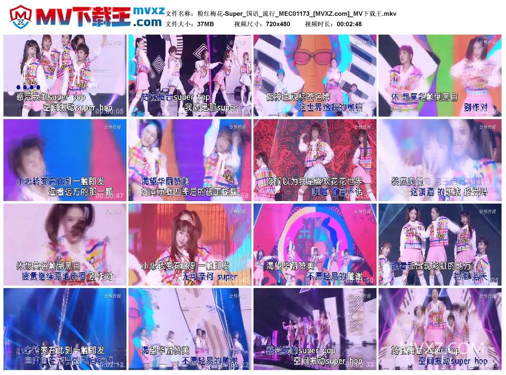 粉红梅花-Super_国语_流行_MEC01173